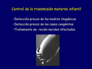 Control de la transmisión materno infantil

•Detección precoz de las madres chagásicas
•Detección precoz de los casos congénitos
•Tratamiento de recién nacidos infectados.
 