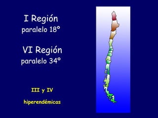 I Región
paralelo 18º


VI Región
paralelo 34º



   III y IV

hiperendémicas
 