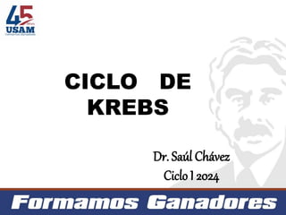 CICLO DE
KREBS
Dr. Saúl Chávez
Ciclo I 2024
 