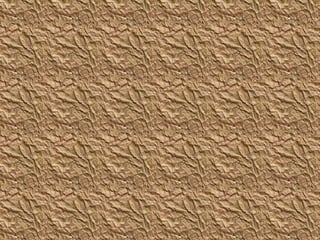 Clase circulación 7