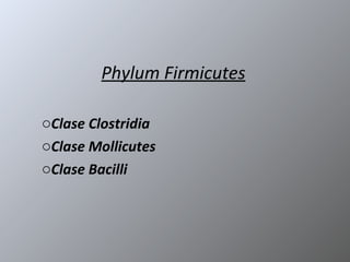 Phylum Firmicutes ,[object Object],[object Object],[object Object]