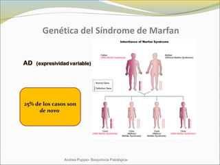 Genética del Síndrome de Marfan
Andrea Puppio- Bioquímica Patológica-
25% de los casos son
de novo
 