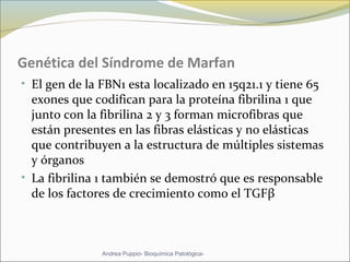Genética del Síndrome de Marfan
• El gen de la FBN1 esta localizado en 15q21.1 y tiene 65
exones que codifican para la proteína fibrilina 1 que
junto con la fibrilina 2 y 3 forman microfibras que
están presentes en las fibras elásticas y no elásticas
que contribuyen a la estructura de múltiples sistemas
y órganos
• La fibrilina 1 también se demostró que es responsable
de los factores de crecimiento como el TGFβ
Andrea Puppio- Bioquímica Patológica-
 