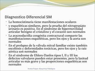 Diagnostico Diferencial SM
• La homocistinuria tiene manifestaciones oculares
• y esqueléticas similares, pero la prueba del nitroprusiato
urinario es positiva. En el síndrome de hipermovilidad
articular benigno el cristalino y el corazón son normales
• La aracnodactilia congénita contractural comparte las
manifestaciones esqueléticas, pero los ojos y la aorta son
normales
• En el prolapso de la válvula mitral familiar existe también
escoliosis y deformidades torácicas, pero los ojos y la raíz
aórtica son normales
• En el síndrome de Ehlers-Danlos tipos I, II y III los
defectos valvulares pueden estar presentes, pero la laxitud
articular es más grave y las proporciones esqueléticas son
normales
Andrea Puppio- Bioquímica Patológica-
 