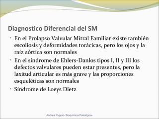 Diagnostico Diferencial del SM
• En el Prolapso Valvular Mitral Familiar existe también
escoliosis y deformidades torácicas, pero los ojos y la
raíz aórtica son normales
• En el síndrome de Ehlers-Danlos tipos I, II y III los
defectos valvulares pueden estar presentes, pero la
laxitud articular es más grave y las proporciones
esqueléticas son normales
• Síndrome de Loeys Dietz
Andrea Puppio- Bioquímica Patológica-
 