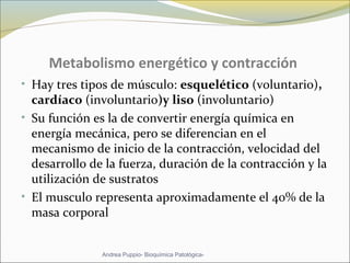 Metabolismo energético y contracción
• Hay tres tipos de músculo: esquelético (voluntario),
cardíaco (involuntario)y liso (involuntario)
• Su función es la de convertir energía química en
energía mecánica, pero se diferencian en el
mecanismo de inicio de la contracción, velocidad del
desarrollo de la fuerza, duración de la contracción y la
utilización de sustratos
• El musculo representa aproximadamente el 40% de la
masa corporal
Andrea Puppio- Bioquímica Patológica-
 