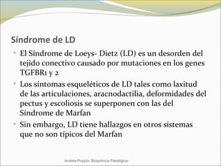 Síndrome de LD
• El Síndrome de Loeys- Dietz (LD) es un desorden del
tejido conectivo causado por mutaciones en los genes
TGFBR1 y 2
• Los síntomas esqueléticos de LD tales como laxitud
de las articulaciones, aracnodactilia, deformidades del
pectus y escoliosis se superponen con las del
Síndrome de Marfan
• Sin embargo, LD tiene hallazgos en otros sistemas
que no son típicos del Marfan
Andrea Puppio- Bioquímica Patológica-
 