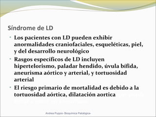 Síndrome de LD
• Los pacientes con LD pueden exhibir
anormalidades craniofaciales, esqueléticas, piel,
y del desarrollo neurológico
• Rasgos específicos de LD incluyen
hipertelorismo, paladar hendido, úvula bífida,
aneurisma aórtico y arterial, y tortuosidad
arterial
• El riesgo primario de mortalidad es debido a la
tortuosidad aórtica, dilatación aortica que puede
llevar a tener un aneurisma
Andrea Puppio- Bioquímica Patológica-
 