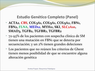 Estudio Genético Completo (Panel)
• ACTA2, CBS, COL3A1, COL5A1, COL5A2, FBN1,
FBN2, FLNA, MED12, MYH11, SKI, SLC2A10,
SMAD3, TGFB2, TGFBR1, TGFBR2
• 72-93% de los pacientes con sospecha clínica de SM
tienen una mutación en FBN1 que se detecta por
secuenciación; y un 2% tienen grandes deleciones
• Los pacientes que no reúnen los criterios de Ghent
tienen menos posibilidad de que se encuentre alguna
alteración genética
Andrea Puppio- Bioquímica Patológica-
 