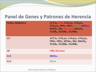 Panel de Genes y Patrones de Herencia
Orden Alfabético ACTA2, CBS, COL3A1, COL5A1,
COL5A2, FBN1, FBN2, FLNA, MED12,
MYH11, SKI, SLC2A10, SMAD3,
TGFB2, TGFBR1, TGFBR2
AD ACTA2, COL3A1, COL5A1, COL5A2,
FBN1, FBN2, MYH11, SKI, SMAD3,
TGFB2, TGFBR1, TGFBR2
AR CBS, SLC2A10
XLR MED12
XLD FLNA
Andrea Puppio- Bioquímica Patológica-
 