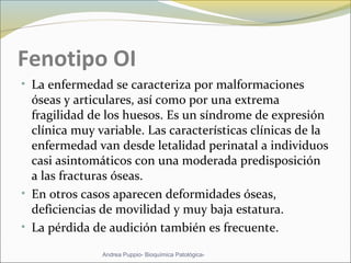 Fenotipo OI
• La enfermedad se caracteriza por malformaciones
óseas y articulares, así como por una extrema
fragilidad de los huesos. Es un síndrome de expresión
clínica muy variable. Las características clínicas de la
enfermedad van desde letalidad perinatal a individuos
casi asintomáticos con una moderada predisposición
a las fracturas óseas.
• En otros casos aparecen deformidades óseas,
deficiencias de movilidad y muy baja estatura.
• La pérdida de audición también es frecuente.
Andrea Puppio- Bioquímica Patológica-
 