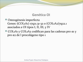 Genética OI
Osteogénesis imperfecta
Genes: (COL1A1) 17q21.31-32 o (COL1A2)7q22.1
asociados a OI tipos I, II, III, y IV
COL1A1 y COL1A2 codifican para las cadenas pro α1 y
pro α2 de l procolágeno tipo 1
Andrea Puppio- Bioquímica Patológica-
 