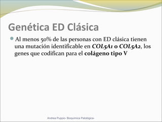 Genética ED Clásica
Al menos 50% de las personas con ED clásica tienen
una mutación identificable en COL5A1 o COL5A2, los
genes que codifican para el colágeno tipo V
Andrea Puppio- Bioquímica Patológica-
 