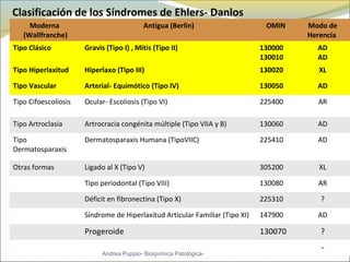 Clasificación de los Síndromes de Ehlers- Danlos
Moderna
(Wallfranche)
Antigua (Berlin) OMIN Modo de
Herencia
Tipo Clásico Gravis (Tipo I) , Mitis (Tipo II) 130000
130010
AD
AD
Tipo Hiperlaxitud Hiperlaxo (Tipo III) 130020 XL
Tipo Vascular Arterial- Equimótico (Tipo IV) 130050 AD
Tipo Cifoescoliosis Ocular- Escoliosis (Tipo VI) 225400 AR
Tipo Artroclasia Artrocracia congénita múltiple (Tipo VIIA y B) 130060 AD
Tipo
Dermatosparaxis
Dermatosparaxis Humana (TipoVIIC) 225410 AD
Otras formas Ligado al X (Tipo V) 305200 XL
Tipo periodontal (Tipo VIII) 130080 AR
Déficit en fibronectina (Tipo X) 225310 ?
Síndrome de Hiperlaxitud Articular Familiar (Tipo XI) 147900 AD
Progeroide 130070 ?
-
Andrea Puppio- Bioquímica Patológica-
 