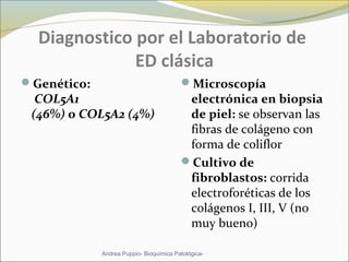 Diagnostico por el Laboratorio de
ED clásica
Genético:
COL5A1
(46%) o COL5A2 (4%)
Microscopía
electrónica en biopsia
de piel: se observan las
fibras de colágeno con
forma de coliflor
Cultivo de
fibroblastos: corrida
electroforéticas de los
colágenos I, III, V (no
muy bueno)
Andrea Puppio- Bioquímica Patológica-
 