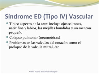 Síndrome ED (Tipo IV) Vascular
Típico aspecto de la cara: incluye ojos saltones,
nariz fina y labios, las mejillas hundidas y un mentón
pequeño
Colapso pulmonar (neumotórax)
Problemas en las válvulas del corazón como el
prolapso de la válvula mitral, etc
Andrea Puppio- Bioquímica Patológica-
 