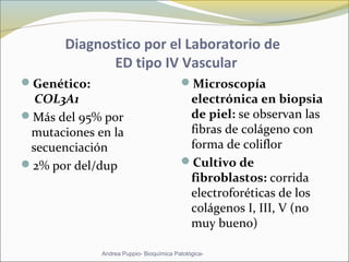 Diagnostico por el Laboratorio de
ED tipo IV Vascular
Genético:
COL3A1
Más del 95% por
mutaciones en la
secuenciación
2% por del/dup
Microscopía
electrónica en biopsia
de piel: se observan las
fibras de colágeno con
forma de coliflor
Cultivo de
fibroblastos: corrida
electroforéticas de los
colágenos I, III, V (no
muy bueno)
Andrea Puppio- Bioquímica Patológica-
 