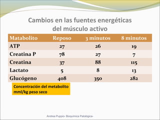 Cambios en las fuentes energéticas
del músculo activo
Matabolito Reposo 3 minutos 8 minutos
ATP 27 26 19
Creatina P 78 27 7
Creatina 37 88 115
Lactato 5 8 13
Glucógeno 408 350 282
Andrea Puppio- Bioquímica Patológica-
Concentración del metabolito
mml/kg peso seco
 
