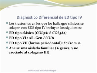 Diagnostico Diferencial de ED tipo IV
Los trastornos en los que los hallazgos clínicos se
solapan con EDS tipo IV incluyen los siguientes:
ED tipo clásico (COL5A1 ó COL5A2)
ED tipo VI : AR. Gen PLOD1
ED tipo VII (forma periodontal): ?? Crom 12
Aneurisma aislado familiar ( 6 genes, y no
asociado al colágeno III)
Andrea Puppio- Bioquímica Patológica-
 