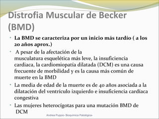 Distrofia Muscular de Becker
(BMD)
• La BMD se caracteriza por un inicio más tardío ( a los
20 años aprox.)
• A pesar de la afectación de la
musculatura esquelética más leve, la insuficiencia
cardiaca, la cardiomiopatía dilatada (DCM) es una causa
frecuente de morbilidad y es la causa más común de
muerte en la BMD
• La media de edad de la muerte es de 40 años asociada a la
dilatación del ventrículo izquierdo e insuficiencia cardíaca
congestiva
• Las mujeres heterocígotas para una mutación BMD de
DCM
Andrea Puppio- Bioquímica Patológica-
 
