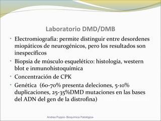 Laboratorio DMD/DMB
• Electromiografía: permite distinguir entre desordenes
miopáticos de neurogénicos, pero los resultados son
inespecíficos
• Biopsia de músculo esquelético: histología, western
blot e inmunohistoquímica
• Concentración de CPK
• Genética (60-70% presenta deleciones, 5-10%
duplicaciones, 25-35%DMD mutaciones en las bases
del ADN del gen de la distrofina)% DMB mutaciones)
Andrea Puppio- Bioquímica Patológica-
 