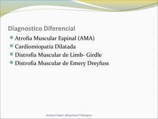 Diagnostico Diferencial
Atrofia Muscular Espinal (AMA)
Cardiomiopatía Dilatada
Distrofia Muscular de Limb- Girdle
Distrofia Muscular de Emery Dreyfuss
Andrea Puppio- Bioquímica Patológica-
 