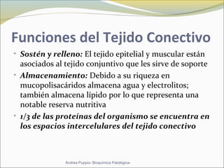 Funciones del Tejido Conectivo
• Sostén y relleno: El tejido epitelial y muscular están
asociados al tejido conjuntivo que les sirve de soporte
• Almacenamiento: Debido a su riqueza en
mucopolisacáridos almacena agua y electrolitos;
también almacena lípido por lo que representa una
notable reserva nutritiva
• 1/3 de las proteínas del organismo se encuentra en
los espacios intercelulares del tejido conectivo
Andrea Puppio- Bioquímica Patológica-
 
