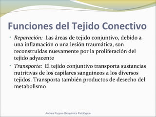 Funciones del Tejido Conectivo
• Reparación: Las áreas de tejido conjuntivo, debido a
una inflamación o una lesión traumática, son
reconstruidas nuevamente por la proliferación del
tejido adyacente
• Transporte: El tejido conjuntivo transporta sustancias
nutritivas de los capilares sanguíneos a los diversos
tejidos. Transporta también productos de desecho del
metabolismo
Andrea Puppio- Bioquímica Patológica-
 