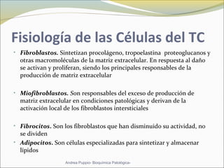 Fisiología de las Células del TC
• Fibroblastos. Sintetizan procolágeno, tropoelastina, proteoglucanos y
otras macromoléculas de la matriz extracelular. En respuesta al daño
se activan y proliferan, siendo los principales responsables de la
producción de matriz extracelular
• Miofibroblastos. Son responsables del exceso de producción de
matriz extracelular en condiciones patológicas y derivan de la
activación local de los fibroblastos intersticiales
• Fibrocitos. Son los fibroblastos que han disminuido su actividad, no
se dividen
• Adipocitos. Son células especializadas para sintetizar y almacenar
lípidos
Andrea Puppio- Bioquímica Patológica-
 