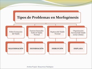 Andrea Puppio- Bioquímica Patológica-
 