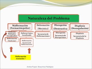 Andrea Puppio- Bioquímica Patológica-
Malformación
Asociación ?
 