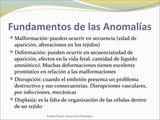 Fundamentos de las Anomalías
Malformación: pueden ocurrir en secuencia (edad de
aparición, alteraciones en los tejidos)
Deformación: pueden ocurrir en secuencia(edad de
aparición, efectos en la vida fetal, cantidad de líquido
amniótico). Muchas deformaciones tienen excelente
pronóstico en relación a las malformaciones
Disrupción: cuando el embrión presenta un problema
destructivo y sus consecuencias. Disrupciones vasculares,
por infecciones, mecánicas
Displasia: es la falta de organización de las células dentro
de un tejido
Andrea Puppio- Bioquímica Patológica-
 