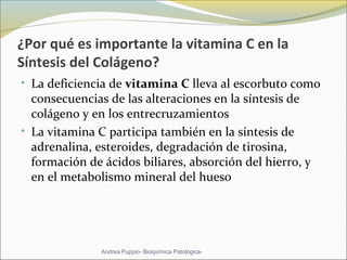 ¿Por qué es importante la vitamina C en la
Síntesis del Colágeno?
• La deficiencia de vitamina C lleva al escorbuto como  
consecuencias de las alteraciones en la síntesis de 
colágeno y en los entrecruzamientos 
• La vitamina C participa también en la síntesis de 
adrenalina, esteroides, degradación de tirosina, 
formación de ácidos biliares, absorción del hierro, y 
en el metabolismo mineral del hueso 
Andrea Puppio- Bioquímica Patológica-
 