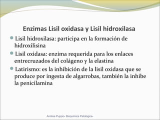 Enzimas Lisil oxidasa y Lisil hidroxilasa
Lisil hidroxilasa: participa en la formación de 
hidroxilisina
Lisil oxidasa: enzima requerida para los enlaces 
entrecruzados del colágeno y la elastina
Latirismo: es la inhibición de la lisil oxidasa que se 
produce por ingesta de algarrobas, también la inhibe 
la penicilamina 
Andrea Puppio- Bioquímica Patológica-
 