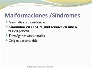 Malformaciones /Síndromes
Anomalías cromosómicas
Anomalías en el ADN (mutaciones en uno o
varios genes)
Teratógenos ambientales
Origen desconocido
Andrea Puppio- Bioquímica Patológica-
 