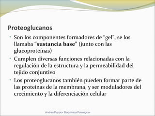 Proteoglucanos
• Son los componentes formadores de “gel”, se los 
llamaba “sustancia base” (junto con las 
glucoproteínas)  
• Cumplen diversas funciones relacionadas con la 
regulación de la estructura y la permeabilidad del 
tejido conjuntivo
• Los proteoglucanos también pueden formar parte de 
las proteínas de la membrana, y ser moduladores del 
crecimiento y la diferenciación celular
Andrea Puppio- Bioquímica Patológica-
 