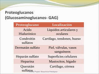 Proteoglucanos
(Glucosaminoglucanos- GAG)
Proteoglucano Localización 
Acido 
Hialurónico
Líquidos articulares y 
oculares 
Condroitin 
sulfatos
Cartílago, tendones, hueso  
Dermatán sulfato Piel, válvulas, vasos 
sanguíneos
Heparán sulfato Superficies celulares
Heparina Mastocitos, hígado
Queratán 
sulfatos
Cartílago, córnea 
Andrea Puppio- Bioquímica Patológica-
 