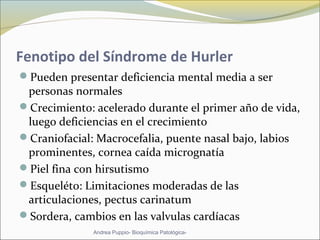 Fenotipo del Síndrome de Hurler
Pueden presentar deficiencia mental media a ser 
personas normales
Crecimiento: acelerado durante el primer año de vida, 
luego deficiencias en el crecimiento
Craniofacial: Macrocefalia, puente nasal bajo, labios 
prominentes, cornea caída micrognatía
Piel fina con hirsutismo
Esqueléto: Limitaciones moderadas de las 
articulaciones, pectus carinatum 
Sordera, cambios en las valvulas cardíacas
Andrea Puppio- Bioquímica Patológica-
 