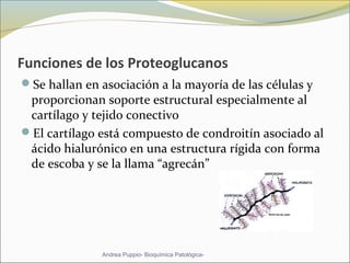 Funciones de los Proteoglucanos
Se hallan en asociación a la mayoría de las células y 
proporcionan soporte estructural especialmente al 
cartílago y tejido conectivo 
El cartílago está compuesto de condroitín asociado al 
ácido hialurónico en una estructura rígida con forma 
de escoba y se la llama “agrecán” 
Andrea Puppio- Bioquímica Patológica-
 