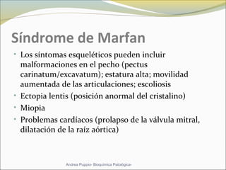 Síndrome de Marfan
• Los síntomas esqueléticos pueden incluir
malformaciones en el pecho (pectus
carinatum/excavatum); estatura alta; movilidad
aumentada de las articulaciones; escoliosis
• Ectopia lentis (posición anormal del cristalino)
• Miopia
• Problemas cardíacos (prolapso de la válvula mitral,
dilatación de la raíz aórtica)
Andrea Puppio- Bioquímica Patológica-
 