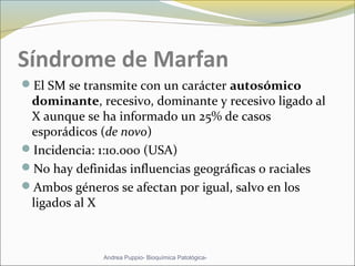 Síndrome de Marfan
El SM se transmite con un carácter autosómico
dominante, recesivo, dominante y recesivo ligado al
X aunque se ha informado un 25% de casos
esporádicos (de novo)
Incidencia: 1:10.000 (USA)
No hay definidas influencias geográficas o raciales
Ambos géneros se afectan por igual, salvo en los
ligados al X
Andrea Puppio- Bioquímica Patológica-
 