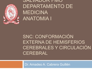 SALVADOR FMO
DEPARTAMENTO DE
MEDICINA
ANATOMIA I
SNC: CONFORMACIÓN
EXTERNA DE HEMISFERIOS
CEREBRALES Y CIRCULACIÓN
CEREBRAL
Dr. Amadeo A. Cabrera Guillén
 