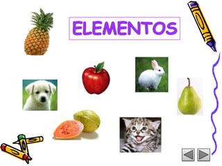 ELEMENTOS