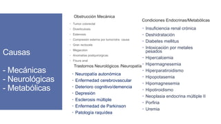 Causas
- Mecánicas
- Neurológicas
- Metabólicas
 Tumor colorectal
 Diverticulosis
 Estenosis
 Compresión externa por tumor/otra causa
 Gran rectocele
 Megacolon
 Anomalías postquirúrgicas
 Fisura anal
 Insuficiencia renal crónica
 Deshidratación
 Diabetes mellitus
 Intoxicación por metales
pesados
 Hipercalcemia
 Hipermagnesemia
 Hiperparatiroidismo
 Hipopotasemia
 Hipomagnesemia
 Hipotiroidismo
 Neoplasia endocrina múltiple II
 Porfiria
 Uremia
 Neuropatía autonómica
 Enfermedad cerebrovascular
 Deterioro cognitivo/demencia
 Depresión
 Esclerosis múltiple
 Enfermedad de Parkinson
 Patología raquídea
Obstrucción mecánica
Obstrucción Mecánica
Trastornos Neurológicos /Neuropatía
Condiciones Endocrinas/Metabólicas
 