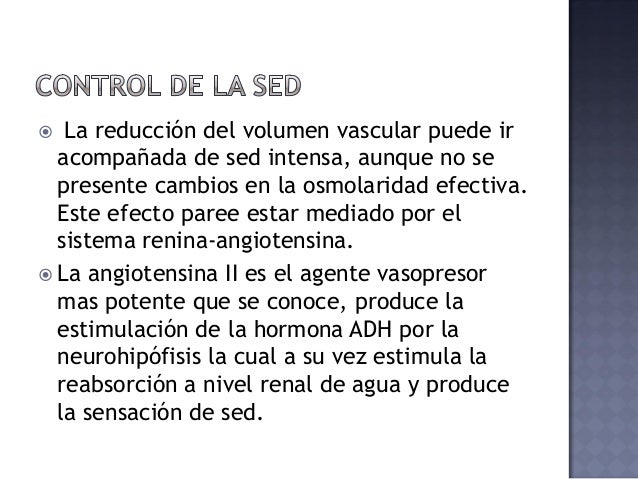 ANATOMIA Y FISIOLOGÍA NOCTURNO: Control de la Ingesta ANATOMIA Y FISIOLOGÍA NOCTURNO: Control de la Ingesta
