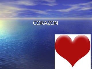 CORAZON 