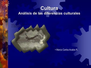 Cultura
Análisis de las diferencias culturales




                      • Marco Carlos Avalos R.




                                                 1
 