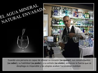 Fuentes de Lebanza botella de agua mineral natural de 500 ml – Aigua Viva  Valencia