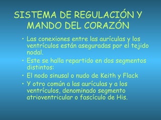 SISTEMA DE REGULACIÓN Y
MANDO DEL CORAZÓN
• Las conexiones entre las aurículas y los
ventrículos están aseguradas por el tejido
nodal.
• Este se halla repartido en dos segmentos
distintos:
• El nodo sinusal o nudo de Keith y Flack
• Y otro común a las aurículas y a los
ventrículos, denominado segmento
atrioventricular o fascículo de His.
 