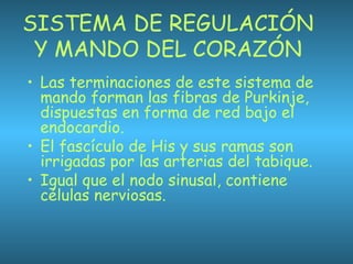SISTEMA DE REGULACIÓN
Y MANDO DEL CORAZÓN
• Las terminaciones de este sistema de
mando forman las fibras de Purkinje,
dispuestas en forma de red bajo el
endocardio.
• El fascículo de His y sus ramas son
irrigadas por las arterias del tabique.
• Igual que el nodo sinusal, contiene
células nerviosas.
 
